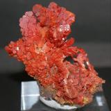 Vanadinite<br />Taouz, Er Rachidia Province, Drâa-Tafilalet Region, Morocco<br />60mm x 50mm x 40mm<br /> (Author: Philippe Durand)