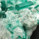 Beryl (variety emerald), Dolomite, Pyrite<br />Chivor mining district, Municipio Chivor, Eastern Emerald Belt, Boyacá Department, Colombia<br />42mm across, xls up to 14mm<br /> (Author: Fiebre Verde)