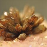 Eosphorite on Rose Quartz with ZanazziiteTaquaral, Itinga, Jequitinhonha, Minas Gerais, Brazil1.6 cm (Author: Gail)