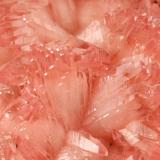 Rhodochrosite, Manganite<br />N'Chwaning I Mine, N'Chwaning mining area, Kuruman, Kalahari manganese field (KMF), Northern Cape Province, South Africa<br />55x50x20mm<br /> (Author: Fiebre Verde)