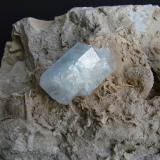 Celestine<br />Stoneco Quarry (Lime City Quarry), Lime City, Wood County, Ohio, USA<br />celestine crystal is 5.0 cm<br /> (Author: Bob Harman)