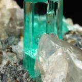 Beryl (variety emerald), Albite (variety cleavelandite), Dolomite, Pyrite<br />Chivor mining district, Manantial Mine, Municipio Chivor, Eastern Emerald Belt, Boyacá Department, Colombia<br />32mm across, main xl=9mm<br /> (Author: Fiebre Verde)