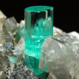 Beryl (variety emerald), Albite (variety cleavelandite), Dolomite, Pyrite<br />Chivor mining district, Manantial Mine, Municipio Chivor, Eastern Emerald Belt, Boyacá Department, Colombia<br />32mm across, main xl=9mm<br /> (Author: Fiebre Verde)