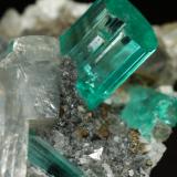 Beryl (variety emerald), Albite (variety cleavelandite), Dolomite, Pyrite<br />Chivor mining district, Manantial Mine, Municipio Chivor, Eastern Emerald Belt, Boyacá Department, Colombia<br />32mm across, main xl=9mm<br /> (Author: Fiebre Verde)