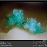 AnnabergiteMina Km-3, Lavrion, Distrito minero Lavrion, Prefectura Attikí (Attica), Greciafov 3.6 mm (Author: ploum)
