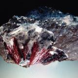 Kermesite<br />Pezinok, Pezinok District, Bratislava Region, Slovak Republic<br />9.5 x 5 x 6 cm<br /> (Author: JC)