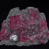 Rhodochrosite, Fluorapatite, QuartzMina Sweet Home, Monte Bross, Distrito Alma, Condado Park, Colorado, USA6.5 x 4.9 cm (Author: am mizunaka)