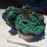 Malachite, Chrysocolla, WulfeniteBrown's open pit, Rum Jungle, Batchelor, Coomalie Shire, Northern Territory, Australia65 X 40 X 30 mm (Author: Robert Seitz)