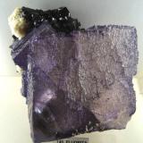 Fluorita y Esfalerita<br />Mina Gordonsville, Carthage, Distrito Central Tennessee Ba-F-Pb-Zn, Condado Smith, Tennessee, USA<br />80x80 mm.<br /> (Autor: Jesus Franquesa Baucells)