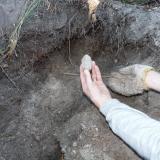 A Quartz crystal fresh from the ground. (Author: Pierre Joubert)