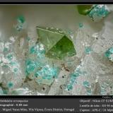 Libethenite and Turquoise<br />Miguel Vacas Mine, Pardais and Conceição Parish, Vila Viçosa, Évora District, Alentejo Central Province, Alentejo Region, Portugal<br />fov 0.80 mm<br /> (Author: ploum)