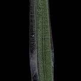 Quartz with Chlorite<br />Mount Ida, Montgomery County, Arkansas, USA<br />62 x 8 mm<br /> (Author: am mizunaka)