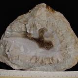 Quartz<br />Monroe County, Indiana, USA<br />geode is about 18 cm with a very thick rind<br /> (Author: Bob Harman)