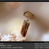 Enstatite<br />De la Aljorra Quarries, Cerro de la Cabezuela (de la Aljorra Volcano), La Aljorra, Cartagena, Comarca Campo de Cartagena, Region of Murcia (Murcia), Spain<br />fov 1.8 mm<br /> (Author: ploum)