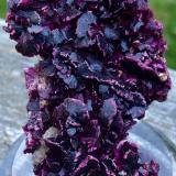 Erythrite<br />Agoudal Mines, Tansifite, Agdz, Bou Azzer mining district, Zagora Province, Drâa-Tafilalet Region, Morocco<br />5.7 x 3.8 cm<br /> (Author: JC)