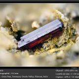 Rutile<br />Gries Pass, Formazza, Formazza Valley, Ossola Valley, Verbano-Cusio-Ossola Province, Piedmont (Piemonte), Italy<br />fov 4.4 mm<br /> (Author: ploum)