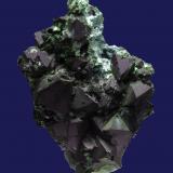 Cuprita<br />Ampobell, Shaba, (Katanga) Zaire, Rep. Congo<br />6 x 4 cm<br /> (Autor: Ricardo Fimia)