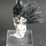 Stibnite<br />Herja Mine, Chiuzbaia, Baia Sprie, Maramures, Romania<br />60mm x 40mm x 20mm<br /> (Author: Philippe Durand)