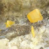WulfenitaCerro Tajo de las Grajas, Zona Llanos de la Plata, Alhaurín de la Torre, Comarca Valle del Guadalhorce, Málaga, Andalucía, EspañaCampo de visión de 3 mm. (Autor: Antonio Carmona)