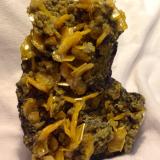 Wulfenite, MimetiteMina San Francisco, Cerro Prieto, Cucurpe, Municipio Cucurpe, Sonora, México10 x 7 cm (Author: JC)