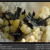 Rutile and Stilbite<br />Miage Glacier, Veny Valley, Monte Bianco Massif (Mont Blanc Massif), Courmayeur, Aosta Valley (Val d'Aosta), Italy<br />fov 2.0 mm<br /> (Author: ploum)