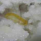 Barite on QuartzZona Harrodsburg, Clear Creek, Condado Monroe, Indiana, USAbarite is 4.7 cm (Author: Bob Harman)