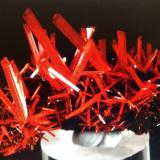 Crocoite<br />Adelaide Mine, Dundas mineral field, Zeehan District, West Coast Council, Tasmania, Australia<br />3.5 cm<br /> (Author: JC)