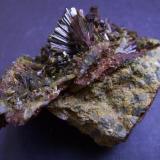 Epidota<br />Barranc de les Collades, Pantà d'Escales, Casterner de les Olles, Tremp, Comarca Pallars Jussà, Lérida / Lleida, Cataluña / Catalunya, España<br />6 x 5 x 4 cm<br /> (Autor: Antonio Alcaide)