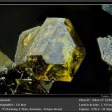 SturmaniteMina N'Chwaning II, Zona minera N'Chwaning, Kuruman, Kalahari manganese field (KMF), Provincia Septentrional del Cabo, Sudáfricafov 2.0 mm (Author: ploum)