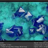 Cornetite<br />L'Etoile du Congo Mine, Lubumbashi (Elizabethville), Katanga Copper Crescent, Haut-Katanga (Shaba), Democratic Republic of the Congo (Zaire)<br />fov 1.5 mm<br /> (Author: ploum)