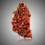 Wulfenite<br />Jianshan Mine, Ruoqiang, Bayin'gholin Autonomous Prefecture, Xinjiang Uyghur Autonomous Region, China<br />23,0	x	13,0	x	9,0	cm<br /> (Author: MIM Museum)