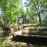 Hard working Amish youth with the second load. (Author: vic rzonca)