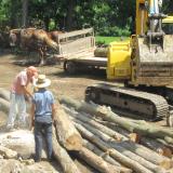 The team waits a little nervously to get their load. Alot of fire wood and some lumber logs come off the ridge. (Author: vic rzonca)