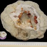 Dolomite, Calcite, Barite on QuartzCanales de desagüe, Condado Monroe, Indiana, USAsee ruler for scale; the larger example is 23 cm with a 13 cm cavity (Author: Bob Harman)