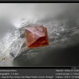 FluornatropyrochloreVolcán Água de Pau, Água de Pau, Municipio Lagoa, Isla San Miguel, Región Autónoma de las Azores, Portugalfov 1.3 mm (Author: ploum)