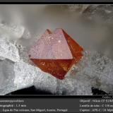 FluornatropyrochloreVolcán Água de Pau, Água de Pau, Municipio Lagoa, Isla San Miguel, Región Autónoma de las Azores, Portugalfov 1.5 mm (Author: ploum)