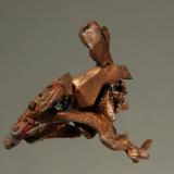 Copper<br />Adventure Mine, Greenland, Greenland Township, Ontonagon County, Michigan, USA<br />2.4 x 2.6 cm<br /> (Author: crosstimber)