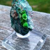 Cuprosklodowskite<br />Musonoi Mine, Kolwezi, Kolwezi District, Lualaba, Katanga Copper Crescent, Katanga (Shaba), Democratic Republic of the Congo (Zaire)<br />6 cm<br /> (Author: JC)