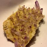 Quartz (variety amethyst )<br />Piedra Parada (Las Vigas), Municipio Tatatila, Veracruz (Veracruz de Ignacio de la Llave), Mexico<br />15 cm<br /> (Author: JC)