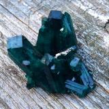 Dioptase<br />Christoph Mine, Kaokoveld Plateau, Kunene Region, Namibia<br />3.1 cm<br /> (Author: JC)
