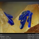 Azurite<br />Mas Dieu, Mercoirol, Alès, Gard, Occitanie, France<br />fov 1.5 mm<br /> (Author: ploum)