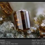 Vesuvianite<br />Felskinn, Fee Glacier, Saas Fee, Saas Valley, Zermatt - Saas Fee, Wallis (Valais), Switzerland<br />fov 3.0 mm<br /> (Author: ploum)