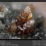 Vesuvianite<br />Felskinn, Fee Glacier, Saas Fee, Saas Valley, Zermatt - Saas Fee, Wallis (Valais), Switzerland<br />fov 2.5 mm<br /> (Author: ploum)