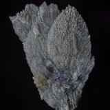 Quartz, Fluorite<br />Shangbao Mine, Leiyang, Hengyang Prefecture, Hunan Province, China<br />9.6 x 6.0 cm<br /> (Author: am mizunaka)