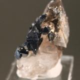 Anatase, Quartz<br />Valdres, Austlandet, Østlandet (Eastern Norway Region), Norway<br />4.5 x 4.0 cm<br /> (Author: Don Lum)