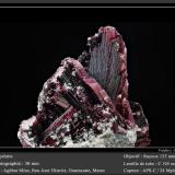 Erythrite<br />Aghbar Mine (Arhbar Mine), Bou Azzer mining district, Zagora Province, Drâa-Tafilalet Region, Morocco<br />fov 30 mm<br /> (Author: ploum)