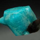 Microcline (variety amazonite)<br />Smoky Hawk claim, Crystal Peak area, Teller County, Colorado, USA<br />2.0 x 2.7 cm<br /> (Author: crosstimber)