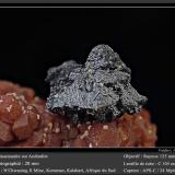 Hausmannite on Andradite<br />N'Chwaning II Mine, N'Chwaning mining area, Kuruman, Kalahari manganese field (KMF), Northern Cape Province, South Africa<br />fov 20 mm<br /> (Author: ploum)
