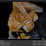 Wulfenite<br />Mibladen (Mibladen mining district), Midelt, Midelt Province, Drâa-Tafilalet Region, Morocco<br />fov 20 mm<br /> (Author: ploum)