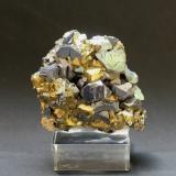 Galena and Chalcopyrite<br />Madan mining area, Rhodope Mountains, Smolyan Oblast, Bulgaria<br />65mm X 55mm x 30mm<br /> (Author: Philippe Durand)